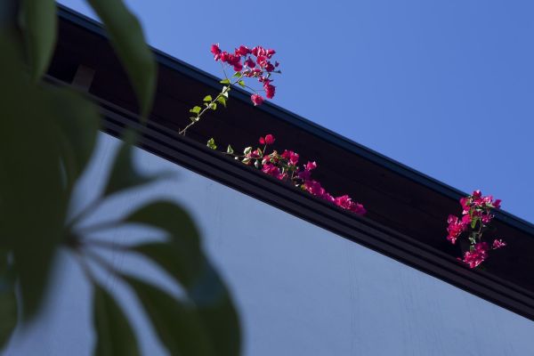 20140815 DJA 1458